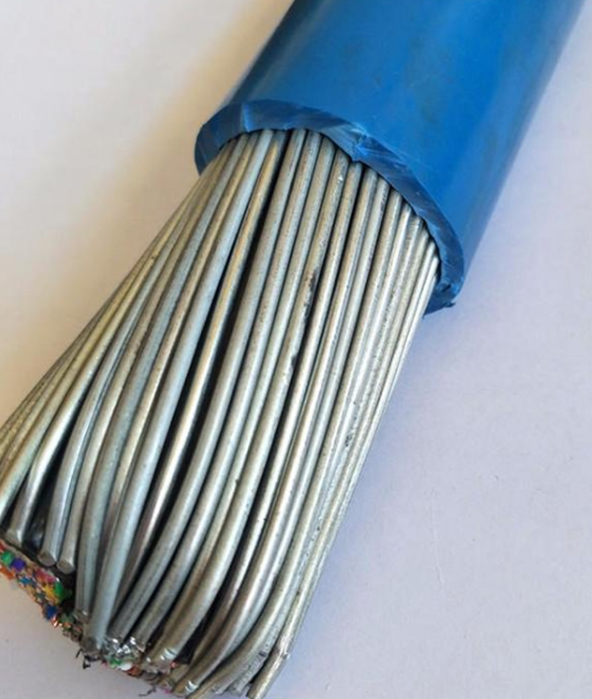 本安電纜ia-K2VPV32-12*1.0