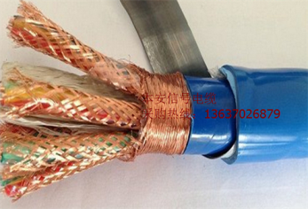 計算機電纜IA-DJYJPVP22-6*2*1.0