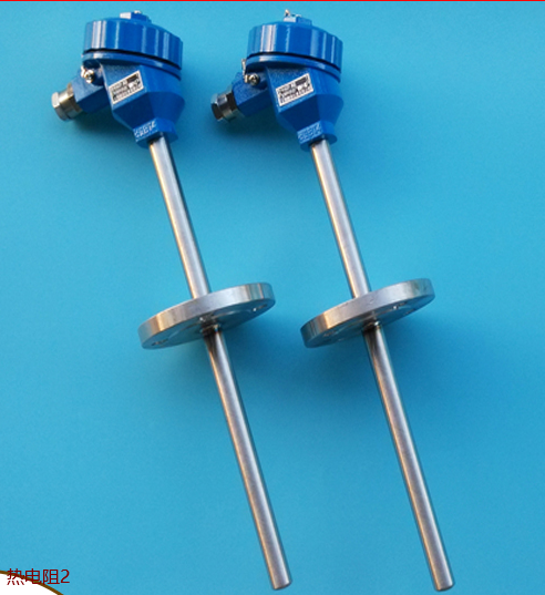 耐磨熱電阻?WZP-130NM