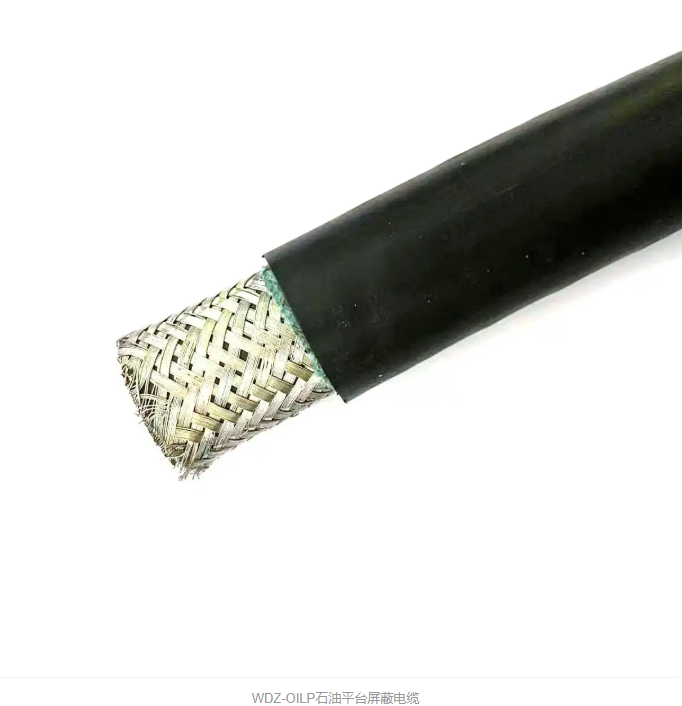 17621578783211.png ccc48bcd-79fa-4a99-b5e2-b94ef37a1de2.png